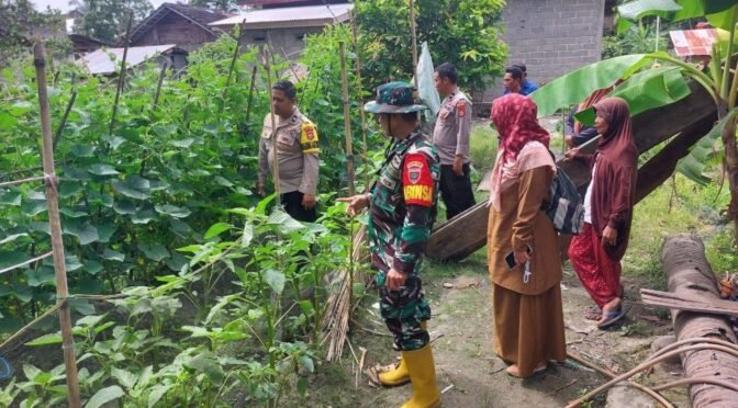 Koramil 1403-12/Bone-Bone Dukung Ketahanan Pangan Lewat Program Pekarangan Pangan Lestari