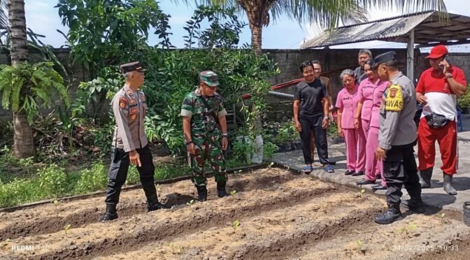 Wujud Sinergitas Dan Dukung Program Pemerintah, Pjs Danramil Klungkung Hadiri Launcing Penguatan Program Pekarangan Pangan Lestari